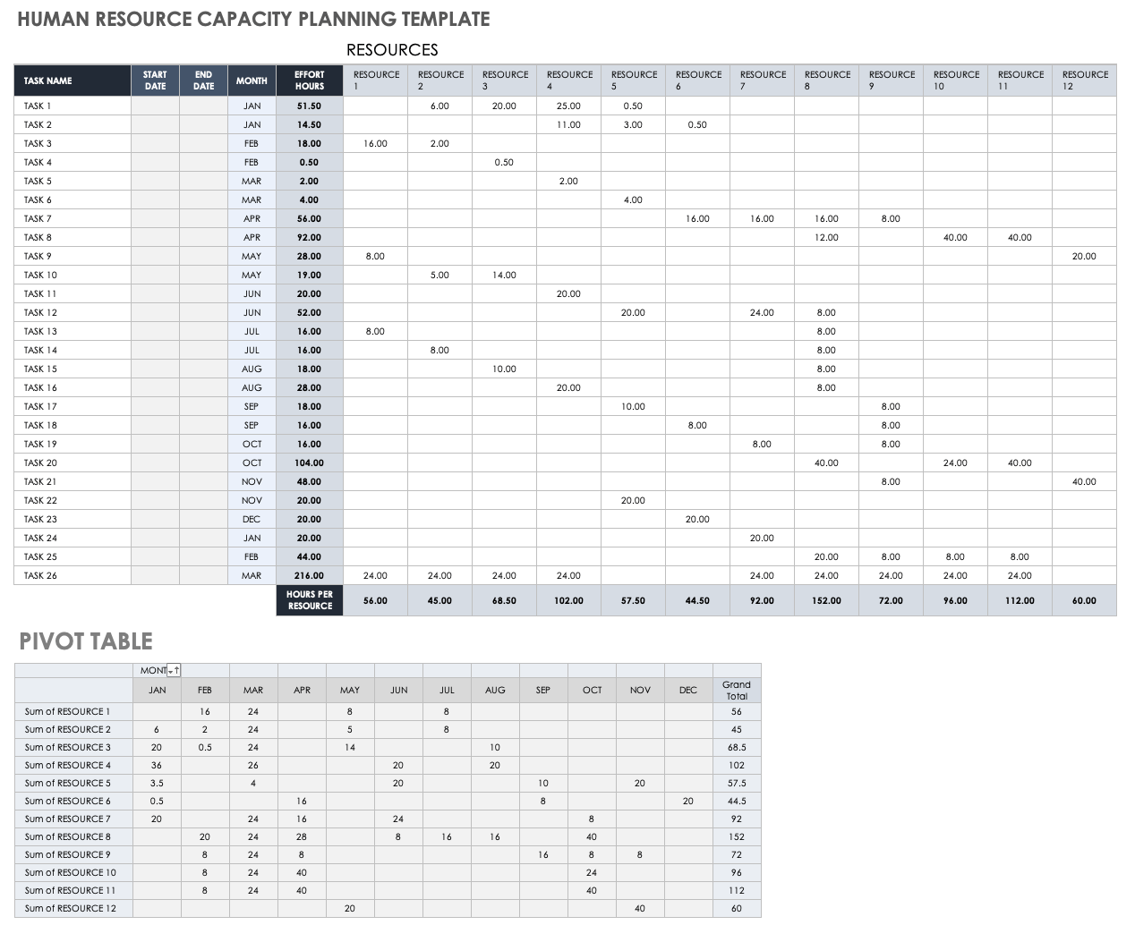 Human Resource Capacity Planning Template