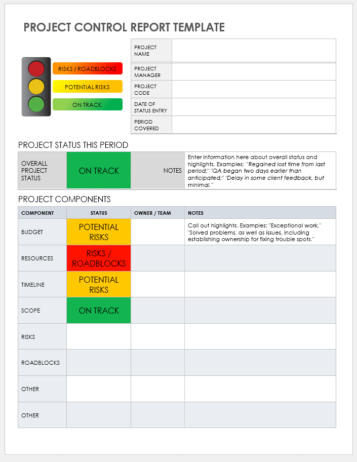 Project Control Report Template