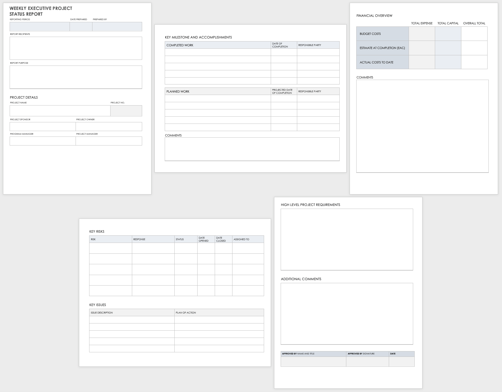 Weekly Executive Status Report Template